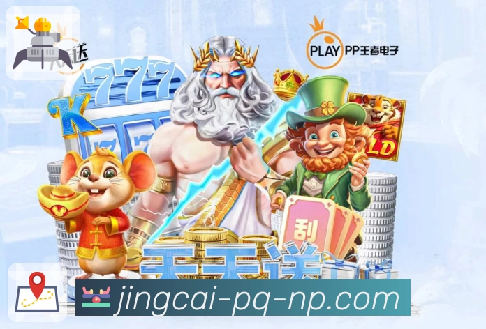 奖项证书